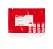 FastPANGEA™ High Fidelity DNA Polymerase