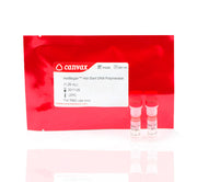 HotBegan™ Hot Start Taq-DNA Polymerase, MasterMix