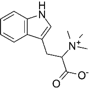 Hypaphorine