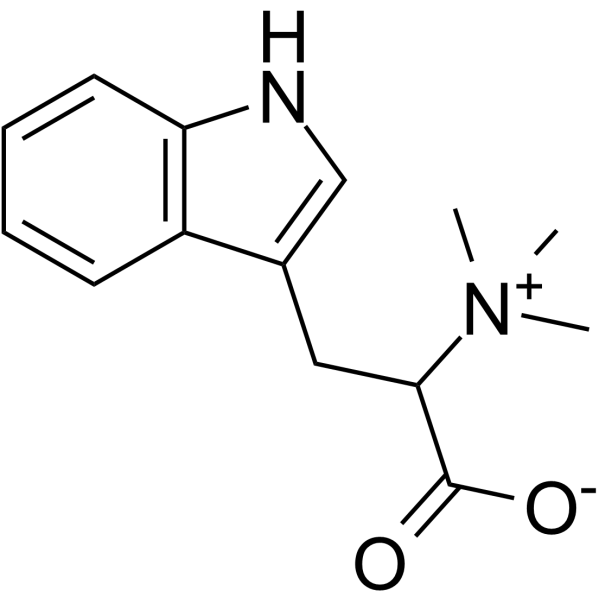 Hypaphorine
