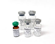 HyStem® Thiol-Modified Hyaluronic Acid 2.5 mL Trial Kit