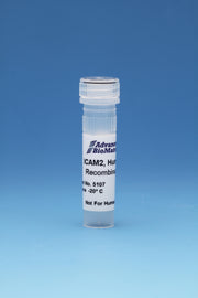 ICAM2, Human, Recombinant, 0.5 mg/ml, 0.1 mg