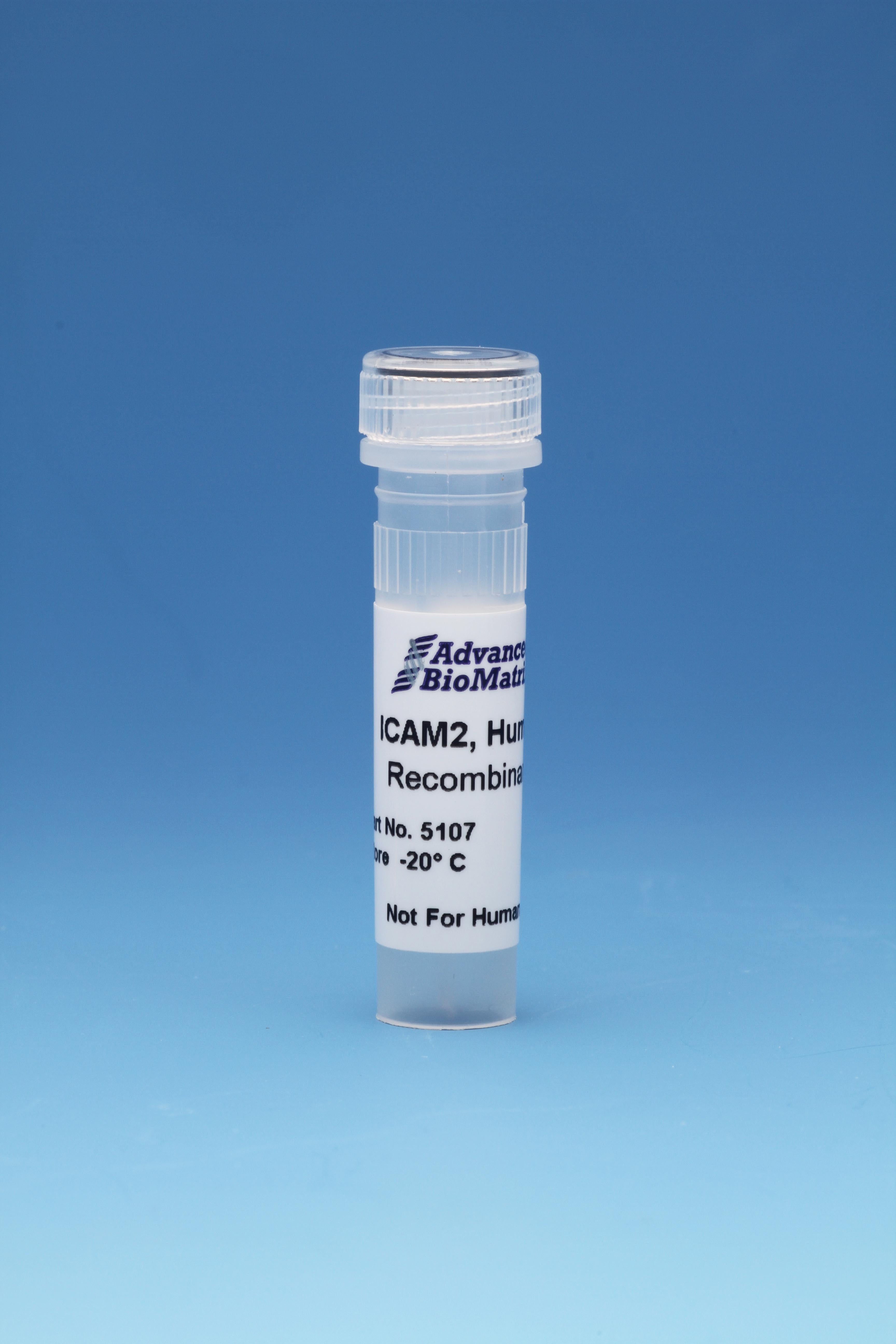 ICAM2, Human, Recombinant, 0.5 mg/ml, 0.1 mg