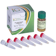 ig® 5-alpha Chemically Competent Cells (High Efficiency )
