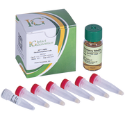 ig® 5-alpha Electrocompetent Cells