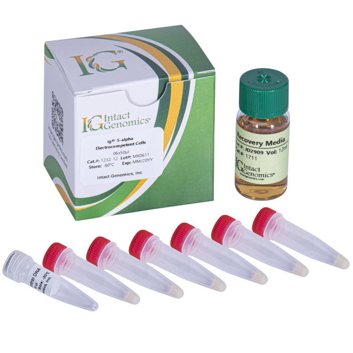 ig® 5-alpha Electrocompetent Cells