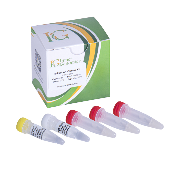 ig-Fusion™ Cloning Kit