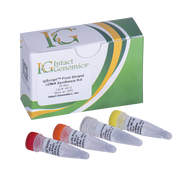 igScript™ First Strand cDNA Synthesis Kit