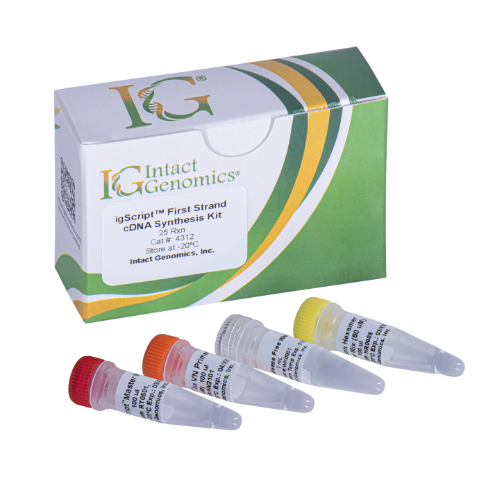 igScript™ First Strand cDNA Synthesis Kit