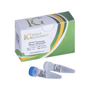igScript™ Glycerol-free Reverse Transcriptase