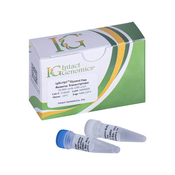 igScript™ Glycerol-free Reverse Transcriptase
