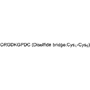 iRGD peptide