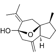 Isocurcumenol