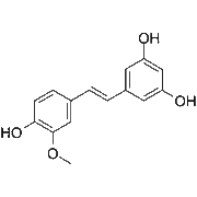 Isorhapontigenin