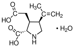 Kainic acid monohydrate