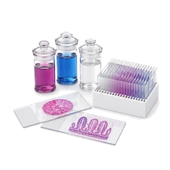 Histology