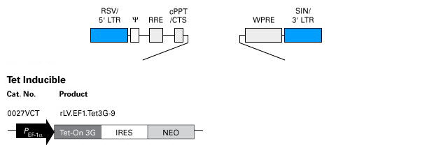 Tet-On 3G transactivator lentiviral particles - Gene function - Takara Bio