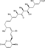 Leptomycin B