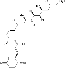 Leptomycin B