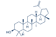 Lupeol chemical structure