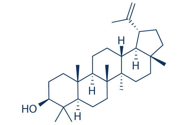 Lupeol chemical structure