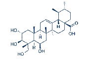Madecassic acid chemical structure