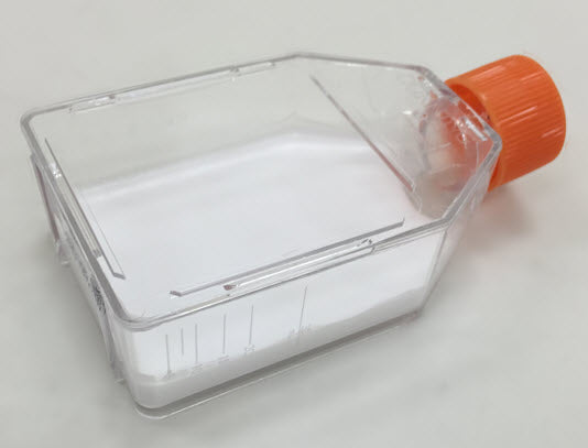 Mebiol®, Thermoreversible Hydrogel, Lyophilized, 1 gram