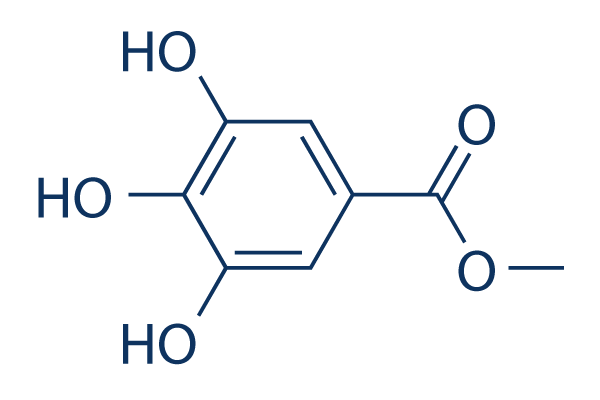Methyl gallate chemical structure