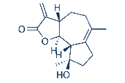 Micheliolide chemical structure
