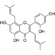 Mulberrin
