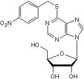 NBMPR