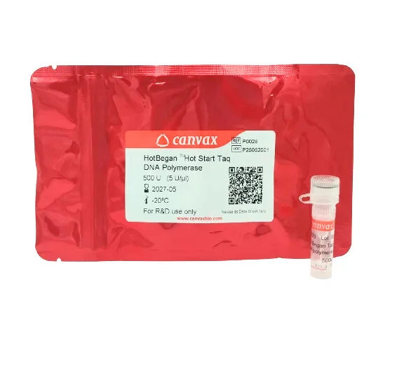HotBegan™ Hot Start Taq-DNA Polymerase