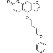 PAP-1