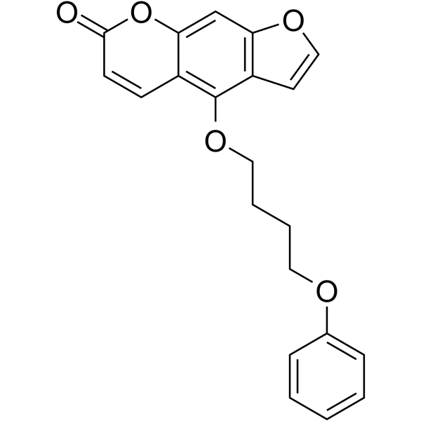 PAP-1