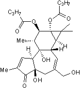Phorbol 12,13-dibutyrate