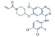 Poziotinib chemical structure