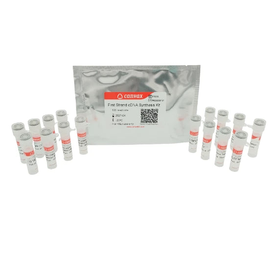 First Strand cDNA Synthesis Kit