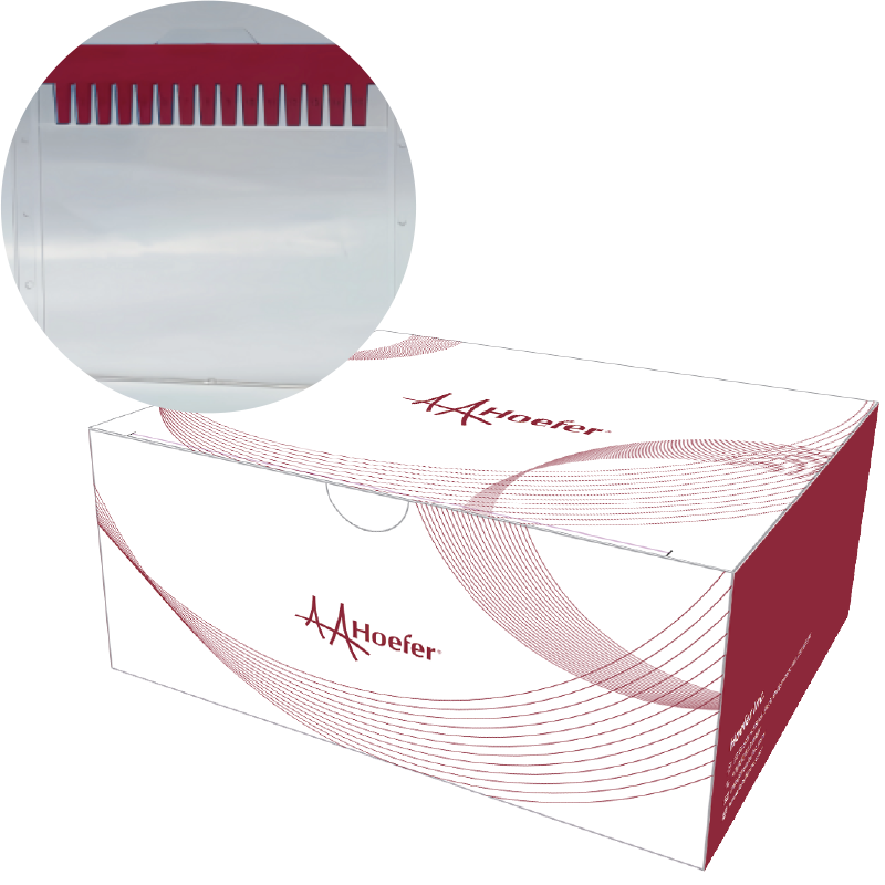 Mighty Small precast gels, 4-20% Bis-Tris, 12wells