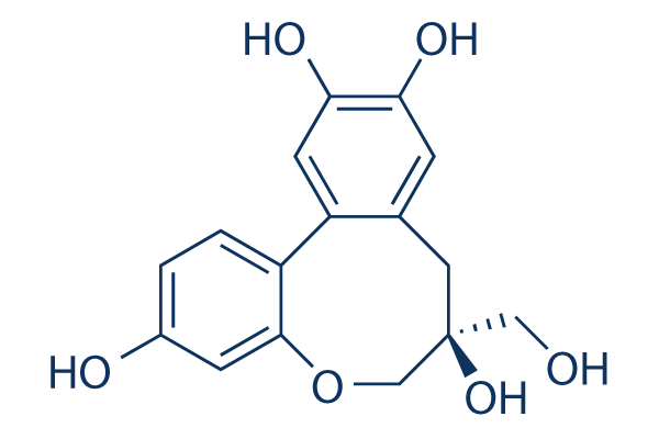 Protosappanin B chemical structure
