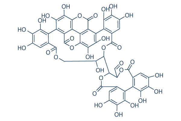 Punicalagin chemical structure