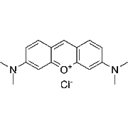 Pyronin Y