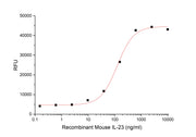 Recombinant Mouse IL-23