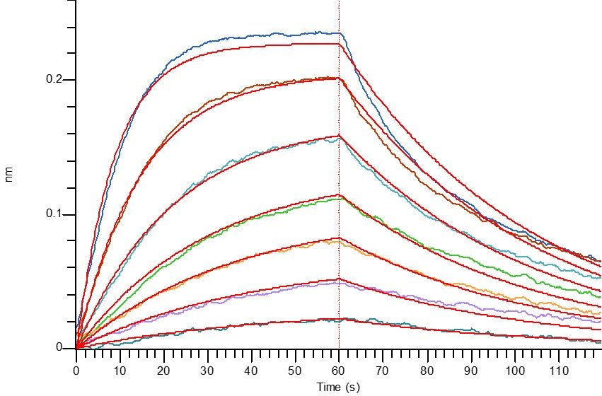 Recombinant Human CD96 (C-6His)