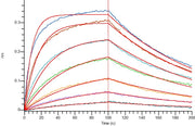 Recombinant Mouse OX40 (C-6His)