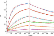 Recombinant Human 4-1BB (C-6His)