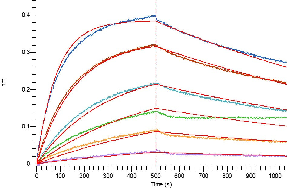 Recombinant Human 4-1BB (C-6His)