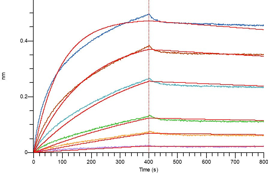 Recombinant Human HLA-A*0201 AFP complex Protein (C-10His)