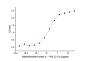 Recombinant Human IL-17RB (C-Fc)