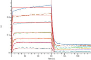 Recombinant Cynomolgus CD226 (C-6His)