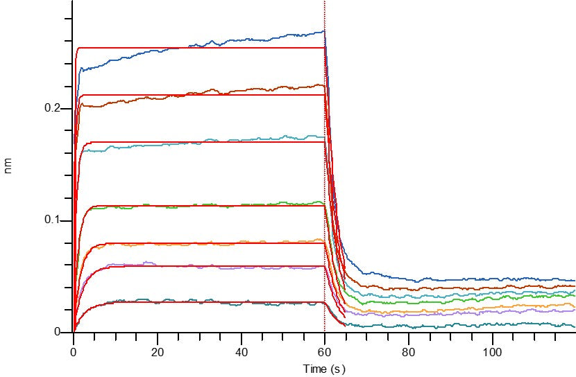 Recombinant Cynomolgus CD226 (C-6His)